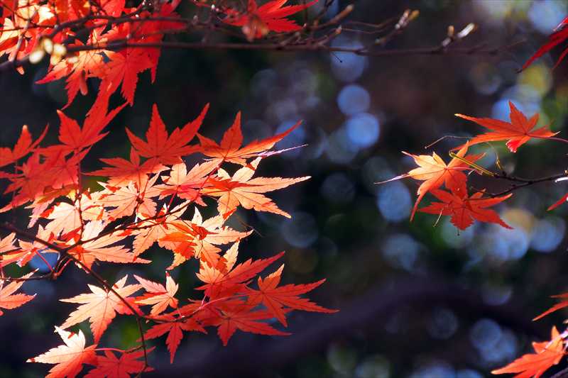 1207_横浜市新羽町_神奈川