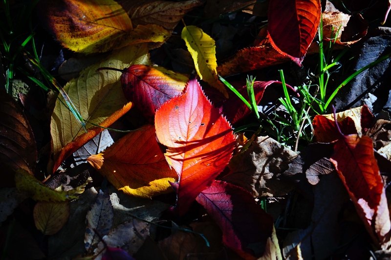 1208_横浜市新羽町_神奈川