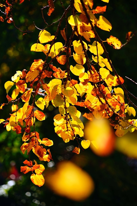 1212_横浜市新羽町_神奈川