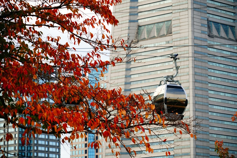 1029_汽車道_神奈川
