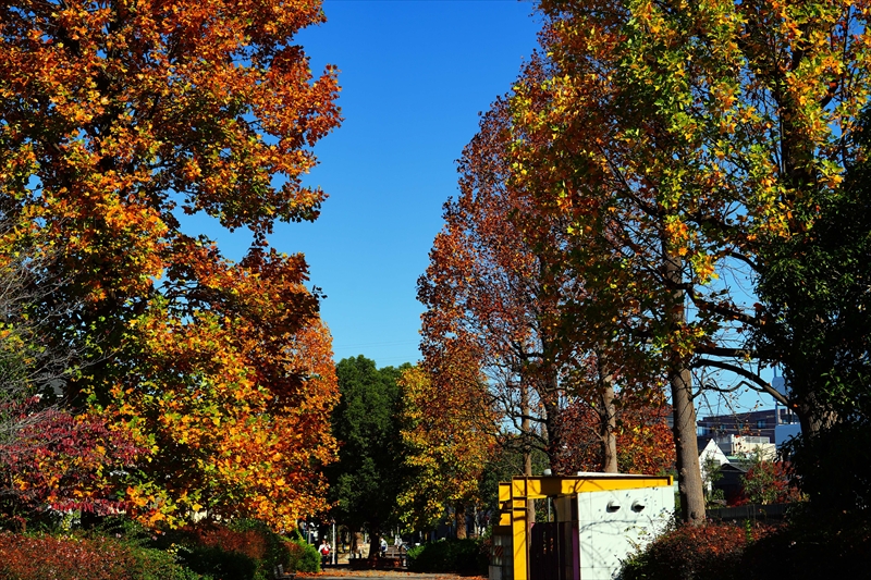 1217_横浜市新羽町_神奈川