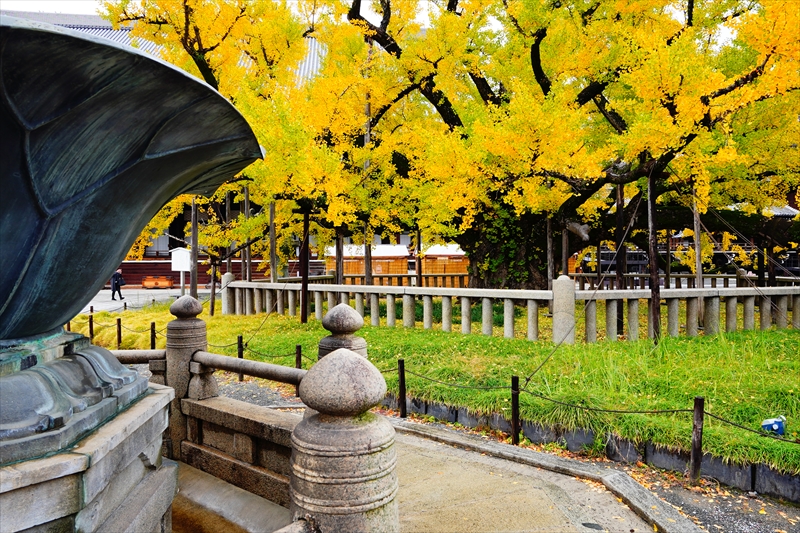 1012_洛中 東本願寺_京都