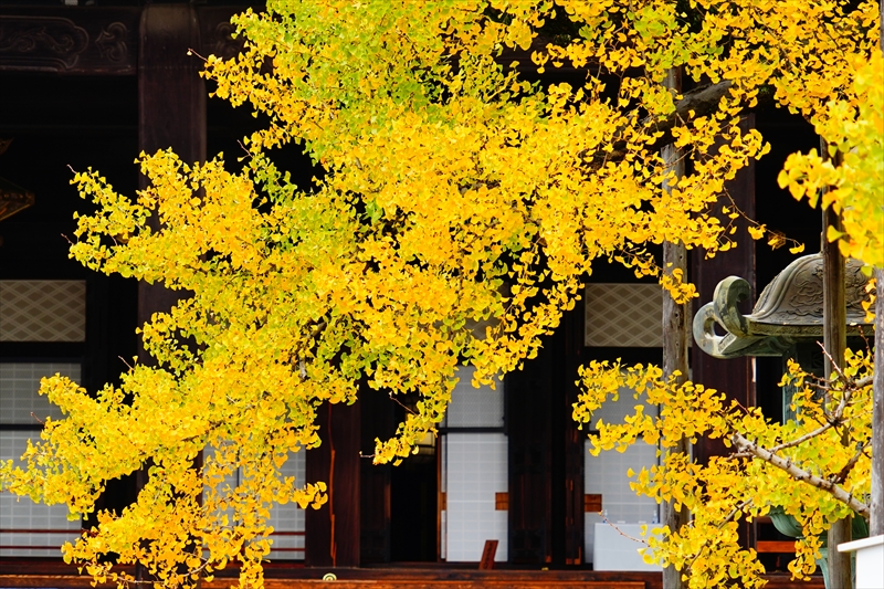 1014_洛中 東本願寺_京都