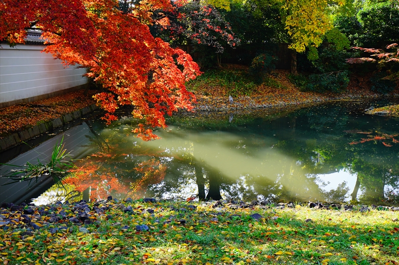 1042_洛中 京都御苑_京都