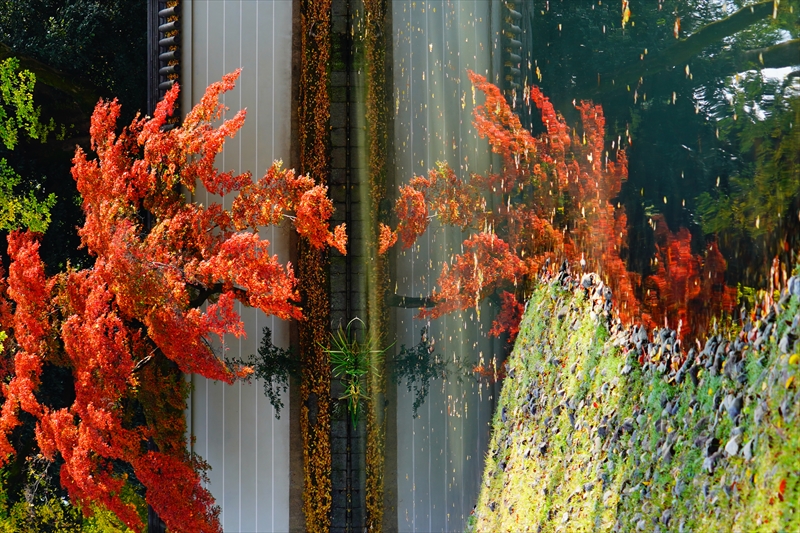 1046_洛中 京都御苑_京都