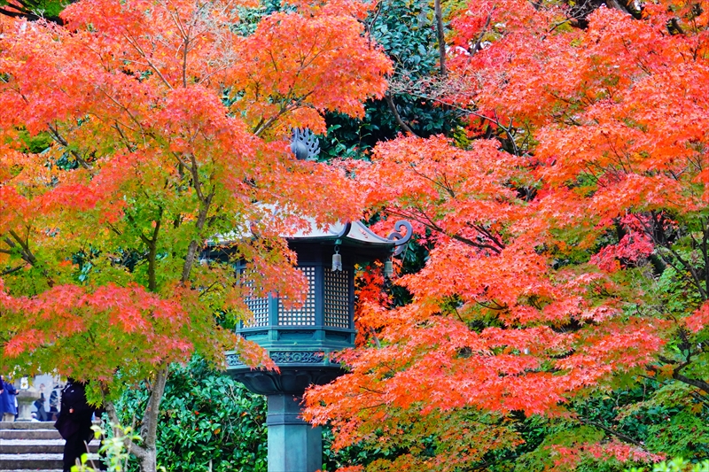 1222_洛東 真正極楽寺 (真如堂)_京都