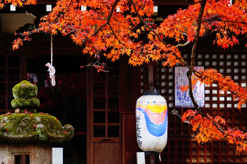 1242_洛東 真正極楽寺 (真如堂)_京都