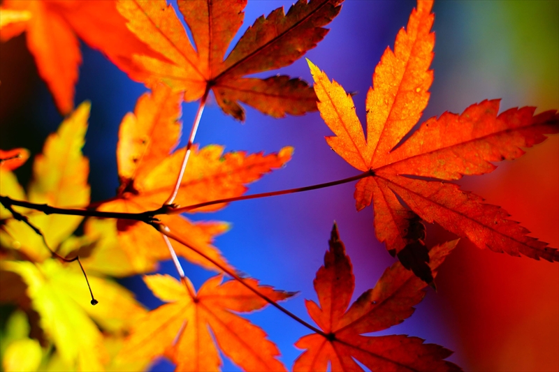 1224_横浜市新羽町_神奈川