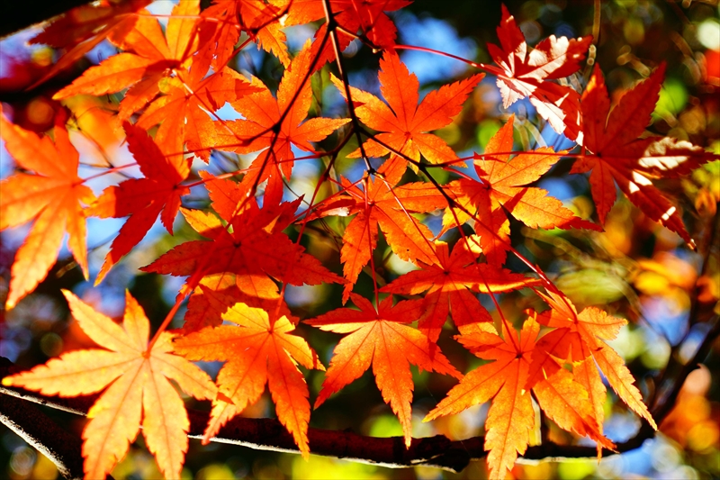 1228_横浜市新羽町_神奈川