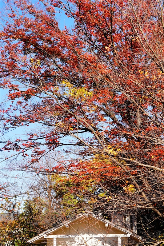 1229_横浜市新羽町_神奈川