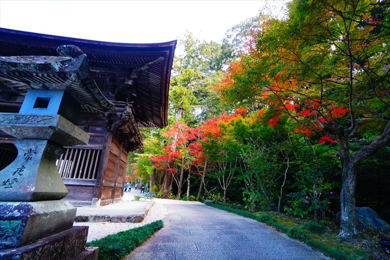 1016_法多山尊永寺_静岡