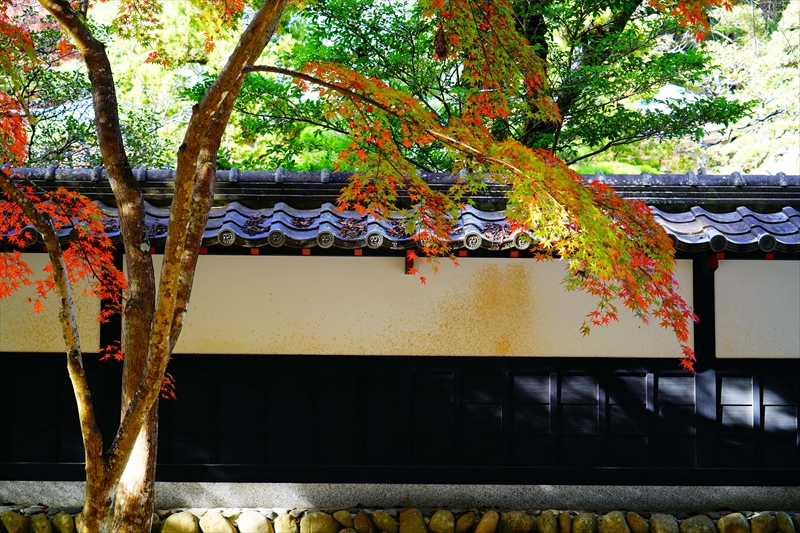 1022_法多山尊永寺_静岡