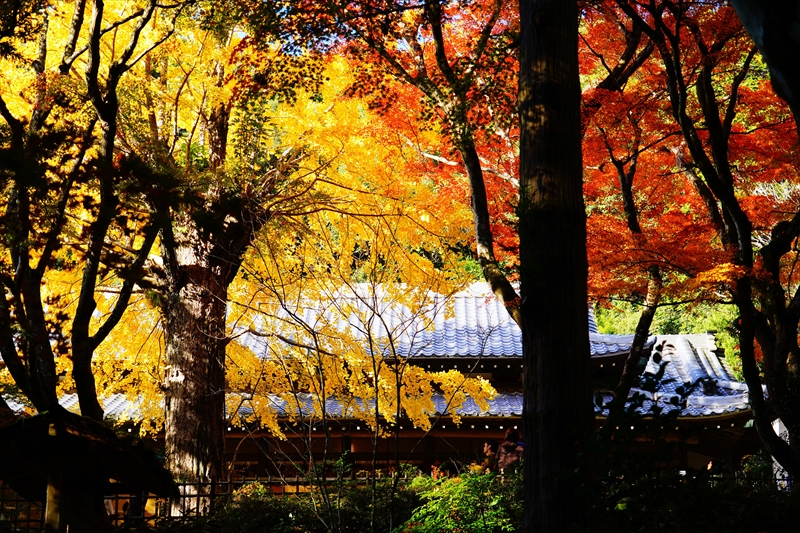 1028_法多山尊永寺_静岡