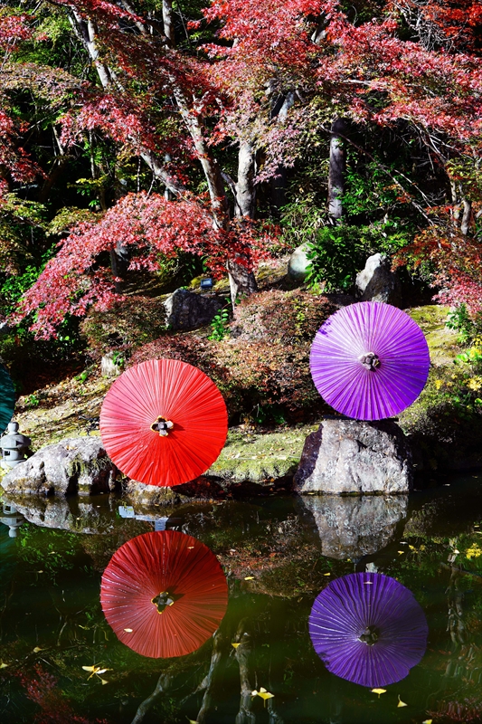 1036_法多山尊永寺_静岡