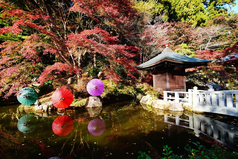 1039_法多山尊永寺_静岡