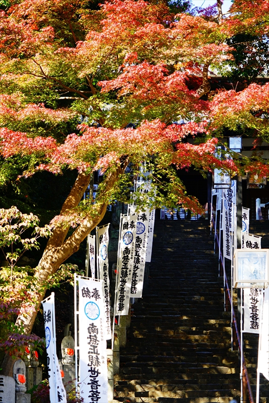 1037_八事山興正寺_愛知