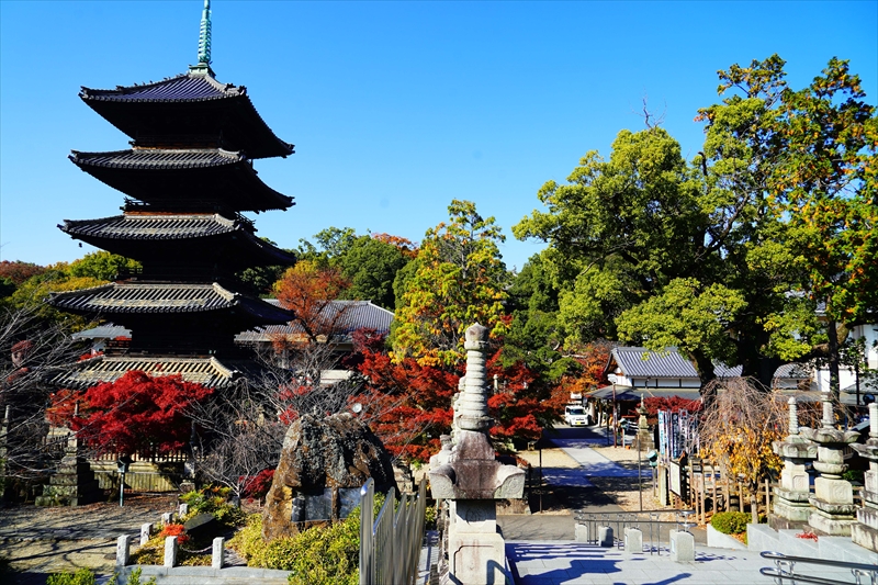 1041_八事山興正寺_愛知