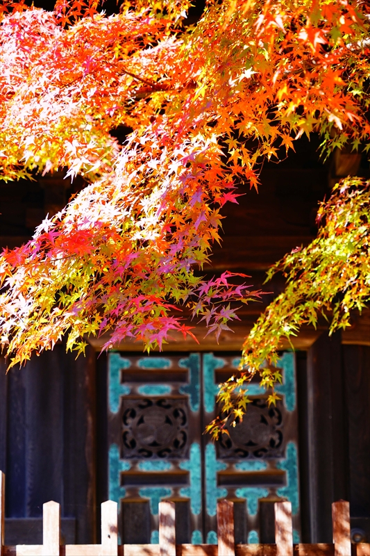 1046_八事山興正寺_愛知