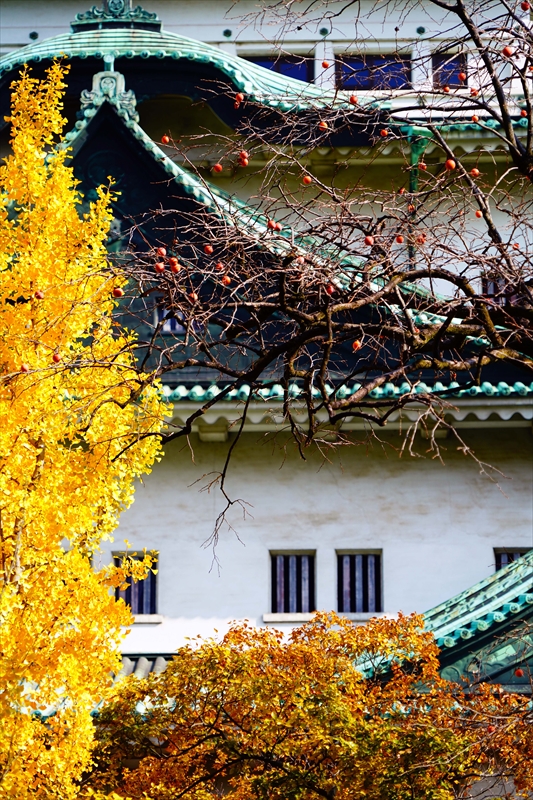 1027_名古屋城_愛知