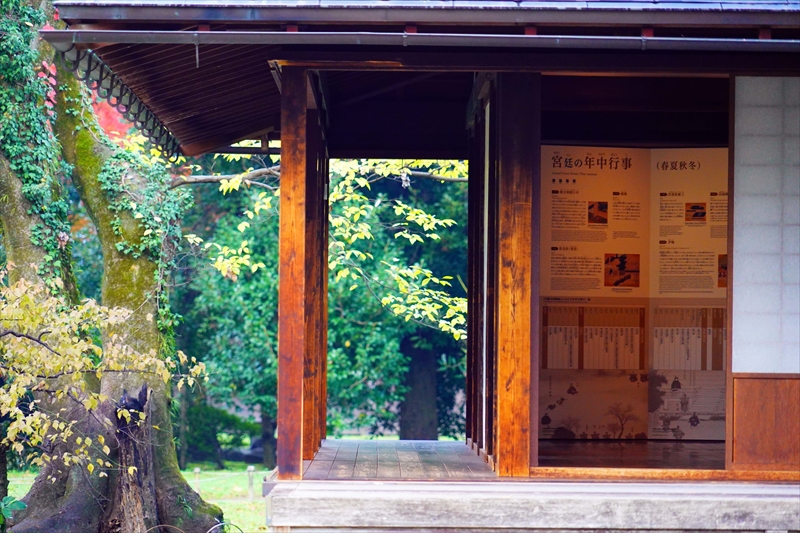 1074_洛中 京都御苑_京都