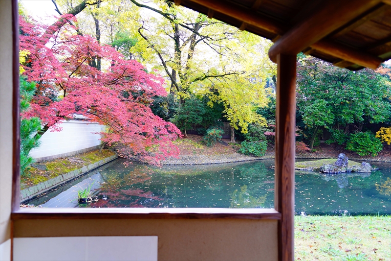 1075_洛中 京都御苑_京都