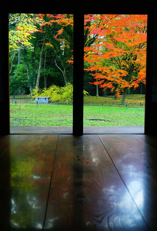 1085_洛中 京都御苑_京都