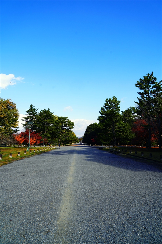 1089_洛中 京都御苑_京都