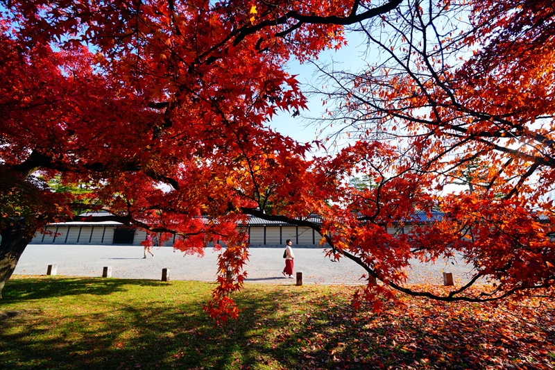 1107_洛中 京都御苑_京都