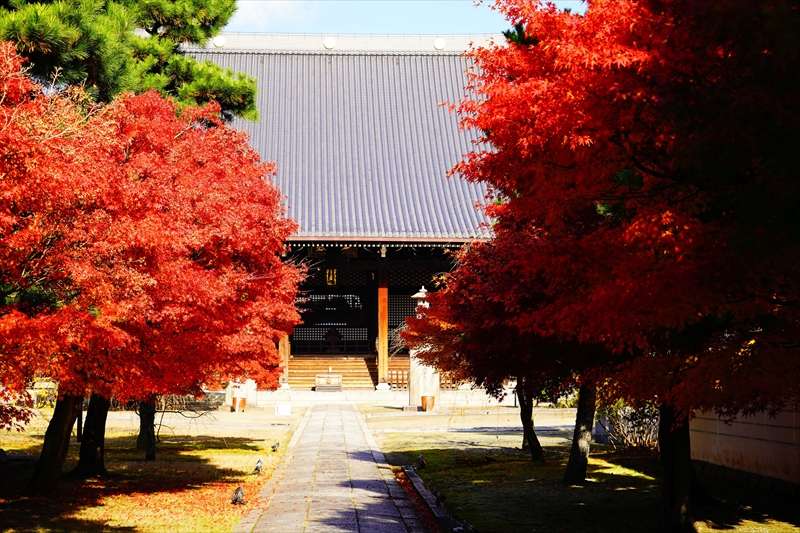 1150_洛中 妙顕寺_京都