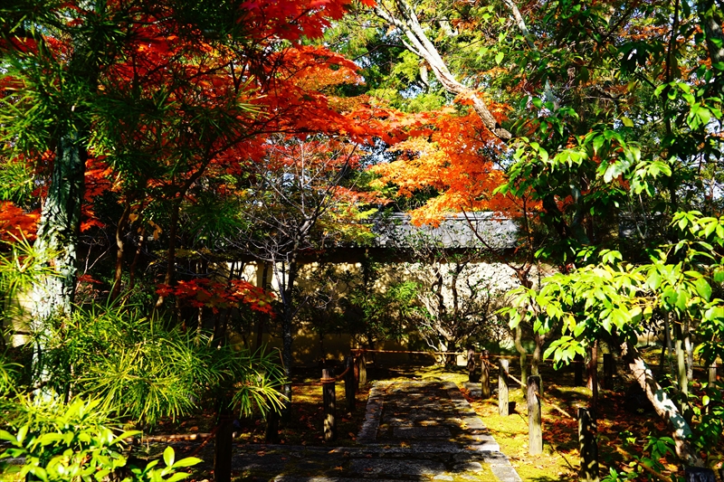 1069_洛北 大徳寺・芳春院_京都
