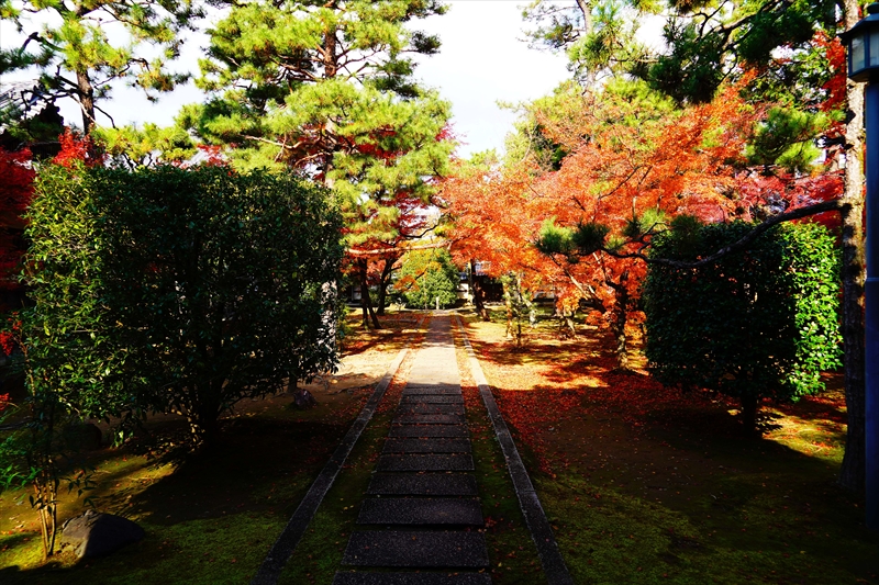 1071_洛北 大徳寺・芳春院_京都