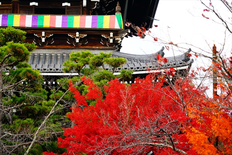 1129_洛東 南禅寺_京都
