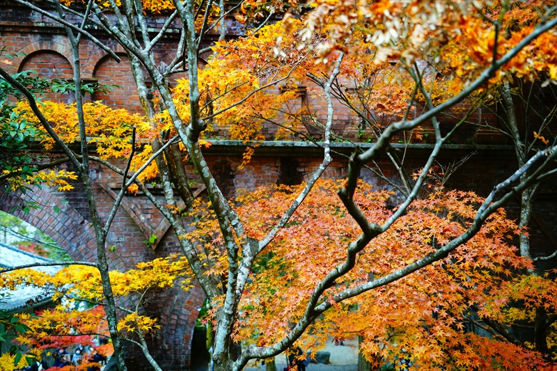 1132_洛東 南禅寺_京都