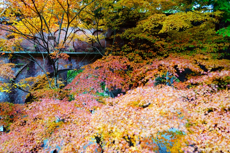 1133_洛東 南禅寺_京都