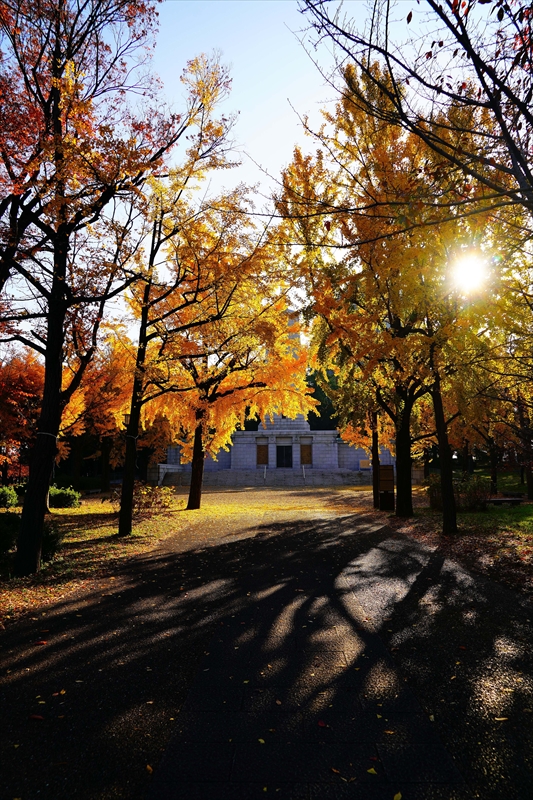 1005_大阪城_大阪