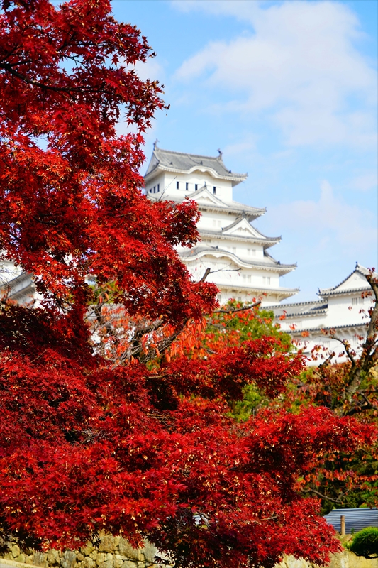 1027_姫路城_兵庫