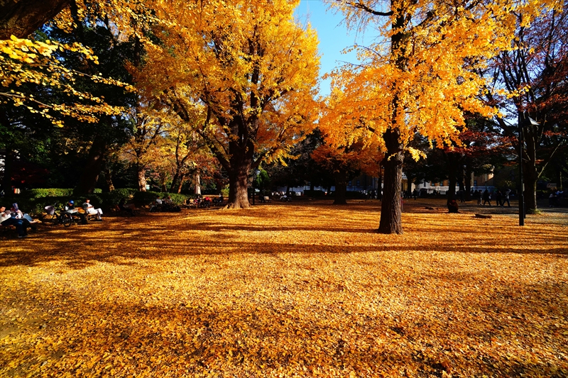 1025_上野恩賜公園_東京