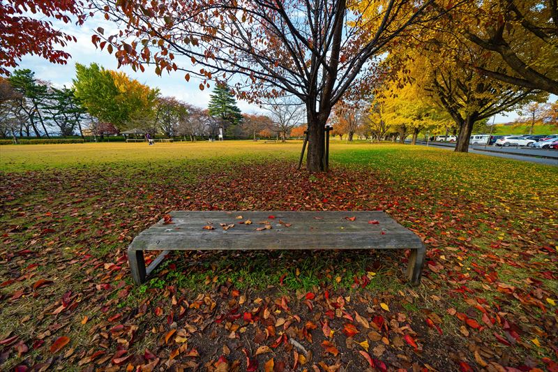 1032_霞城公園_山形
