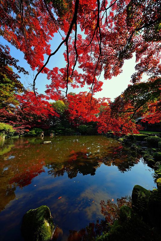 1037_もみじ公園_山形