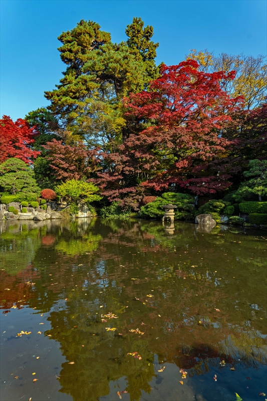 1039_もみじ公園_山形