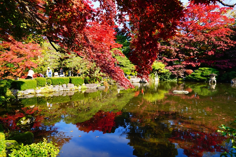 1040_もみじ公園_山形