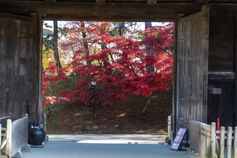 1010_弘前公園_青森