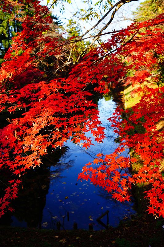 1023_弘前公園_青森