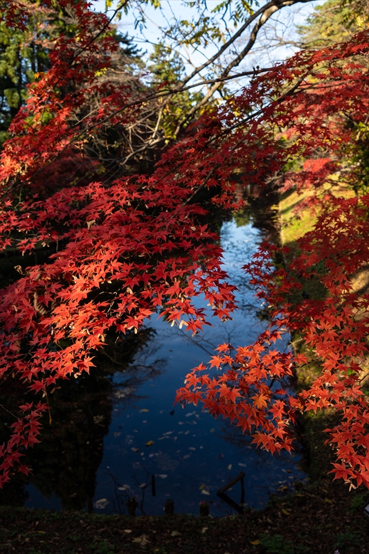 1023_弘前公園_青森