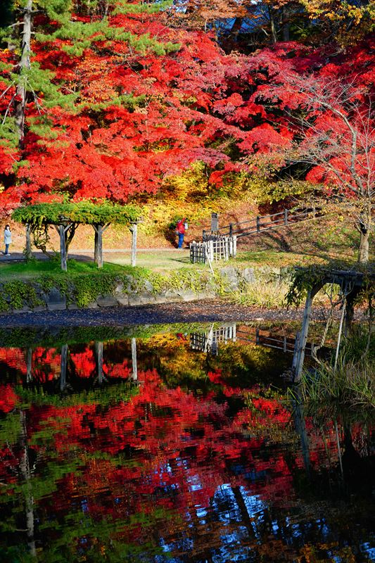1027_弘前公園_青森