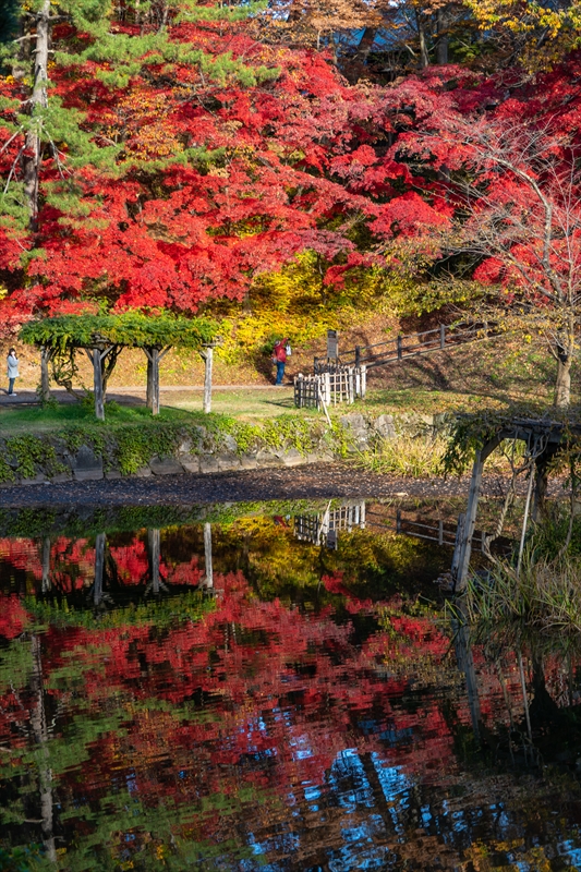 1027_弘前公園_青森