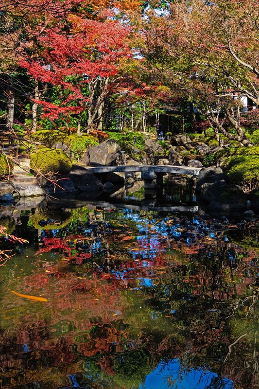 1051_杉並区太田黒公園_東京