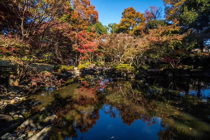 1052_杉並区太田黒公園_東京