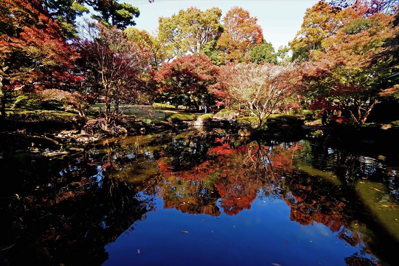 1053_杉並区太田黒公園_東京