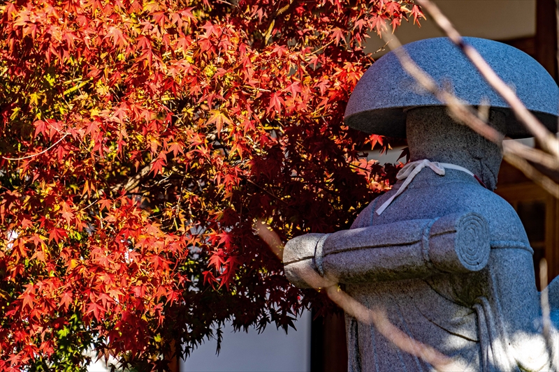 1120_神戸市須磨寺_兵庫